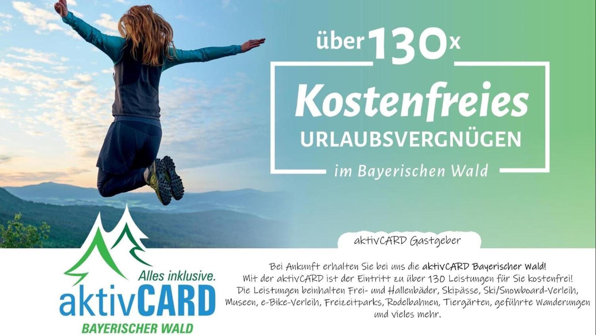 Ferienwohnung Geyersberg Inklusive Aktivcard Bayerischer Wald Фрайунг Экстерьер фото